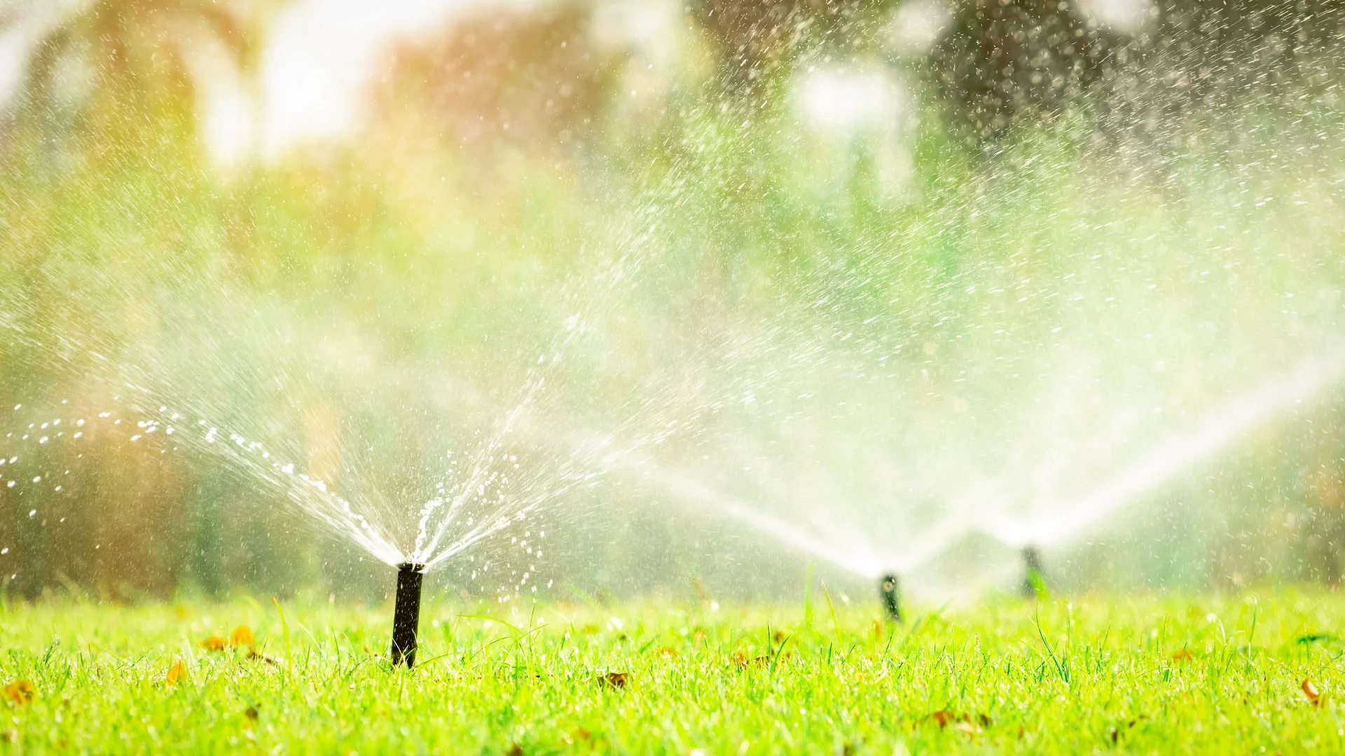What Are the Signs That Your Irrigation System May Need to Be Repaired?