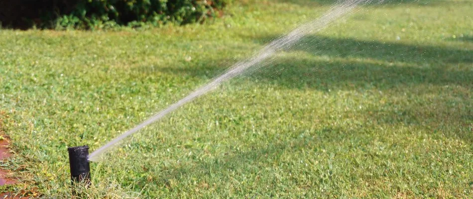 Sprinkler head spraying water across a lawn in New Smyrna Beach, FL.