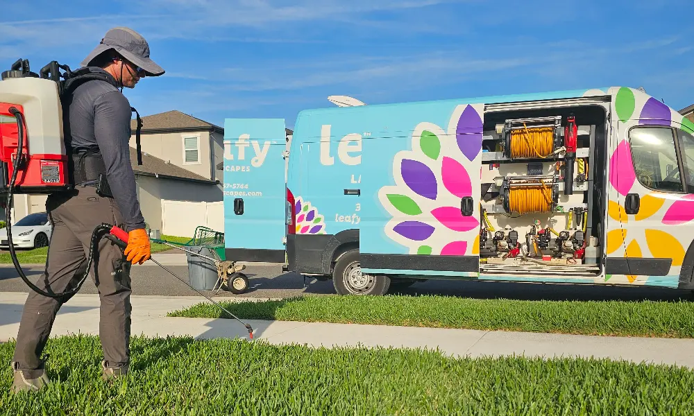 Close-up of invasive grass weed in soil in New Smyrna Beach, FL.