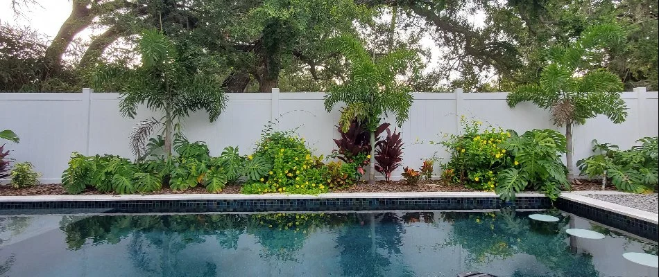 Plants along a fence near a pool on a property in New Smyrna Beach, FL.