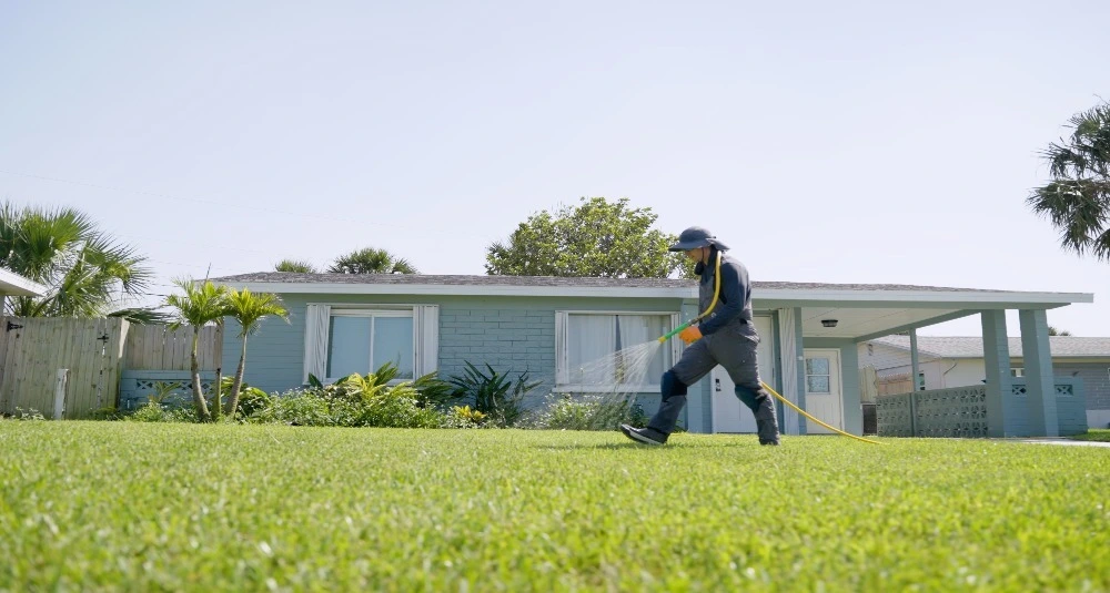 Attractive home with lush landscaping and palm trees in New Smyrna Beach, FL.