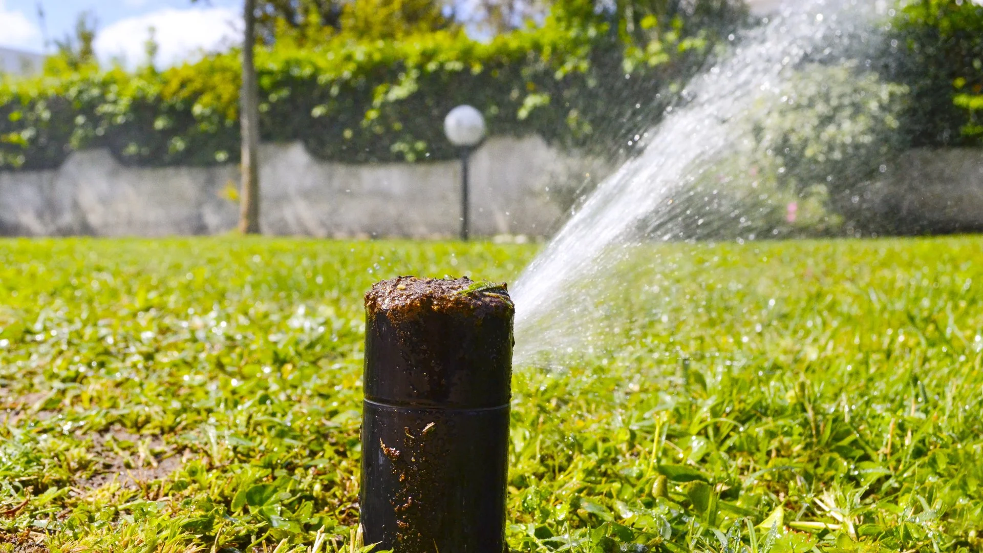 What Does Irrigation Repair Cost in New Smyrna Beach, FL