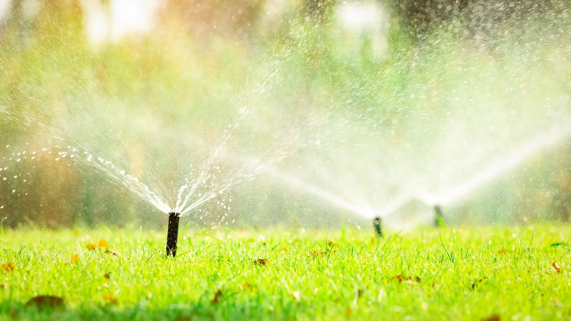 How to Tell Which Part of Your Irrigation System Requires Repair