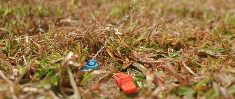 Broken sprinkler head in New Smyrna Beach, FL, creating a puddle on a lawn.