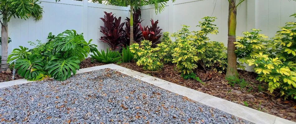 Mulch and plants in a landscape bed in New Smyrna Beach, FL.