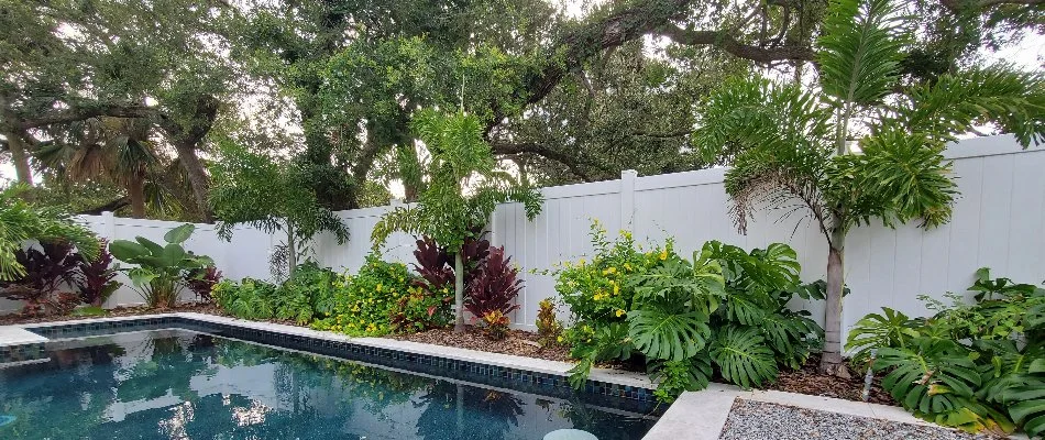 Various shrubs and trees in a mulch landscape bed in New Smyrna Beach, FL, surrounding a pool.