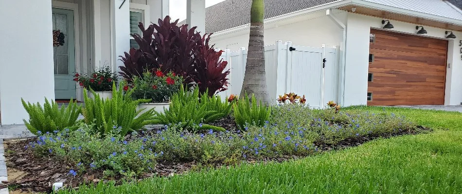 Landscape bed in Flagler Beach, FL, with small plants and flowers.