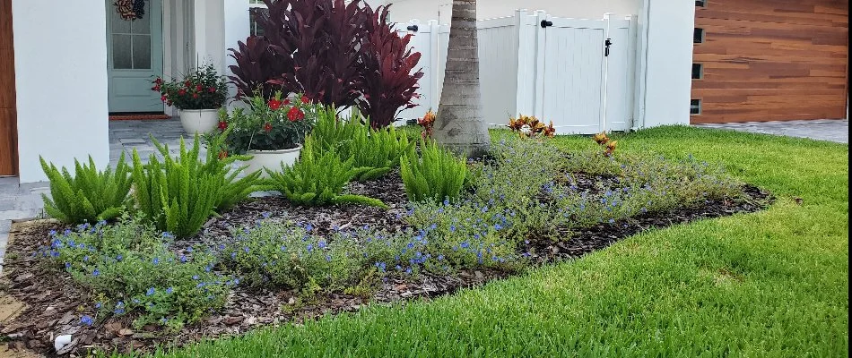 A landscape in Holly Hill, FL, with plants and mulch.