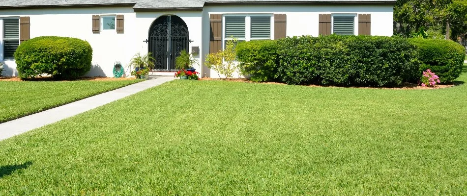 Residence with healthy lawn located in Volusia County, FL.