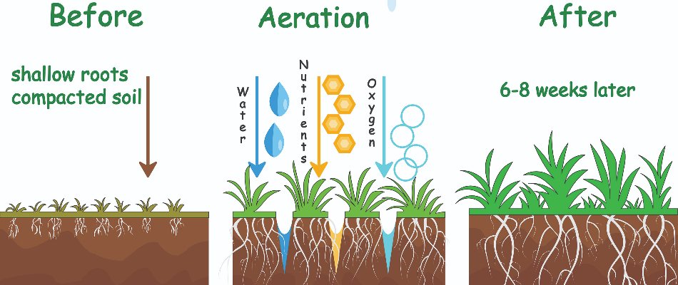 Aeration in New Smyrna Beach, Port Orange & Ponce Inlet, FL | Leafy ...