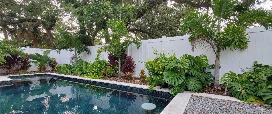 Pool in Flagler Beach, FL, with landscaping.