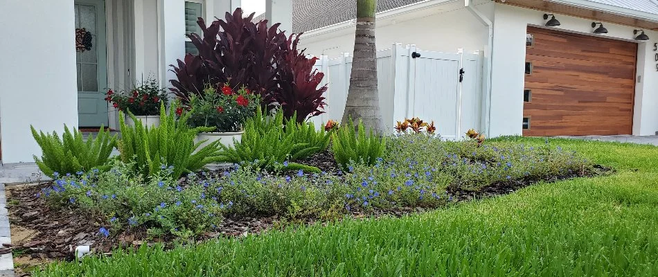 Small landscape in front yard in Volusia County, FL.